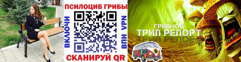 Галлюциногенные грибы GOLDEN TEACHER  Еманжелинск 